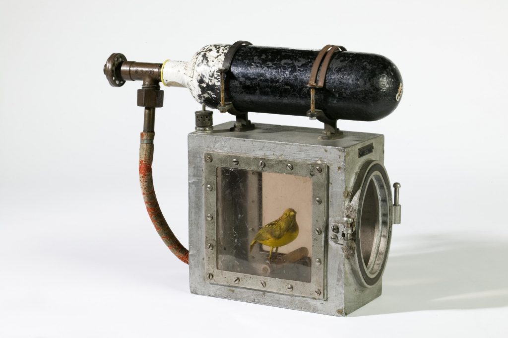 Cage for reviving canary, with oxygen cylinder, made by Siebe Gorman & Co. Ltd, London.